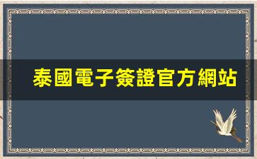 泰國旅游電子簽證申請攻略，官方入口查詢及申請流程詳解