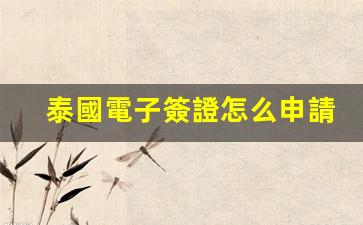 泰國電子簽證怎么申請的(泰國電子簽證app)