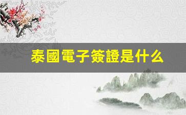 泰國電子簽證是什么(泰國電子簽證)