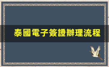 泰國電子簽證辦理全攻略，詳細(xì)流程解析+真實(shí)體驗(yàn)分享