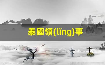 詳解泰國領(lǐng)事館官網(wǎng)簽證流程，泰國使館簽證中心一站式服務(wù)指南