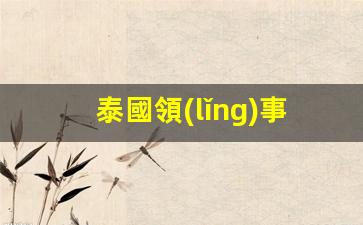 泰國領(lǐng)事館簽證咨詢(泰國領(lǐng)事館簽證咨詢電話)