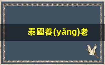 泰國養(yǎng)老簽證代辦中介(泰國養(yǎng)老簽證可以做生意嗎)