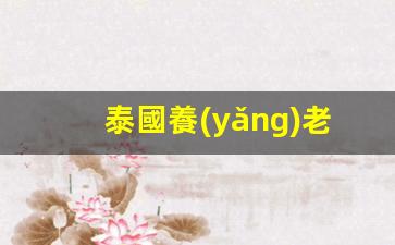 泰國養(yǎng)老簽證最新政策2024(移民養(yǎng)老哪個(gè)國家最好又便宜)