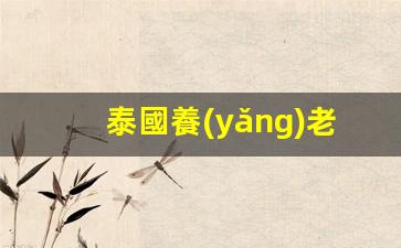 泰國養(yǎng)老簽證的代辦費(fèi)用(泰國養(yǎng)老簽證申請(qǐng)條件)