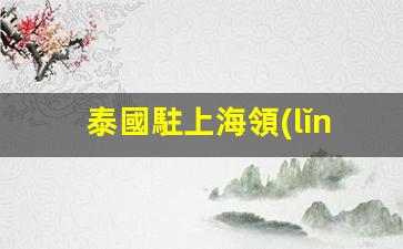 泰國駐上海領(lǐng)事館簽證中心郵箱(泰國駐上海領(lǐng)事館簽證中心郵箱是多少)