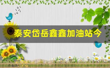 泰安鑫岳小区-泰安岱岳鑫鑫加油站今日油价是多少钱一升