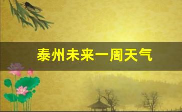 泰州未来几天天气预报_泰州未来一周天气
