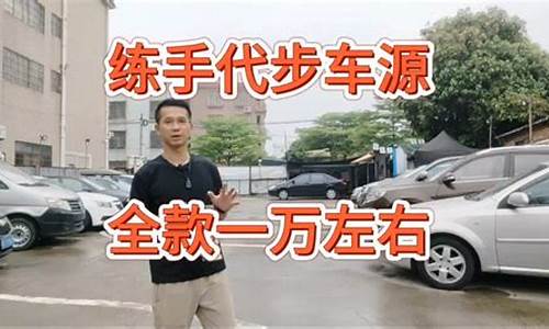 泸州一万左右自动挡二手车_一万元的自动挡二手车