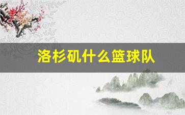 洛杉矶什么篮球队-篮球洛杉矶队叫啥