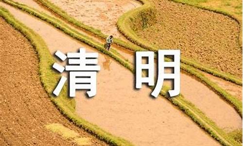 洛阳清明节去哪里玩比较好,洛阳清明节旅游攻略