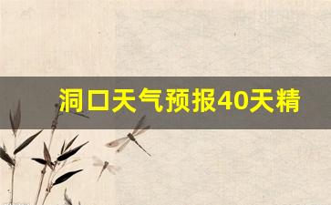 洞口天气预报40天精确查询百度_洞口天气预报40天精确查询
