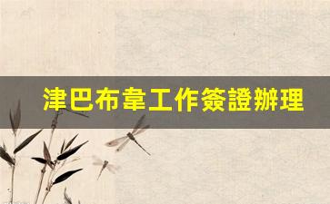 津巴布韋工作簽證辦理(津巴布韋工作簽證辦理需要多久)