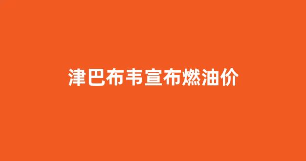 津巴布韦石油储量_津巴布韦宣布燃油价