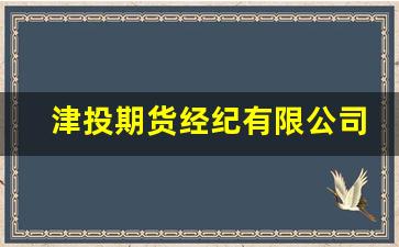 津投期货经纪有限公司(津投期货经纪有限公司江西分公司)_https://www.xzdzcjn.com_科创板_第1张