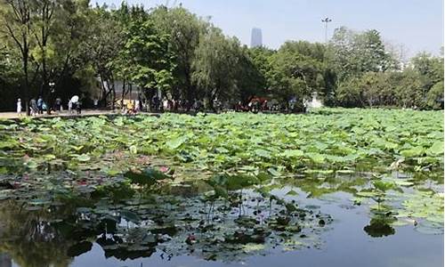 洪湖旅游景点门票价格_洪湖旅游景点门票价格表