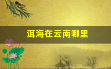 苍山洱海在云南哪里_洱海在云南哪里