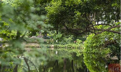 活水公园的水净化系统_活水公园植物