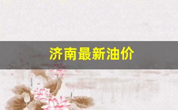 济南最新油价-济南最新油价95