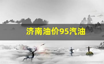 济南油价95汽油-济南油价95号汽油价格