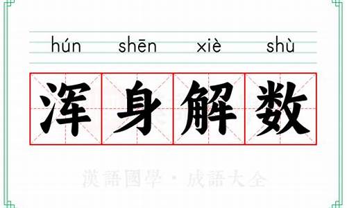 浑身解数的意思解释-浑身解数的意思