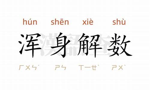 浑身解数造句及解释简单概括_浑身解数造句及解释简单概括一下