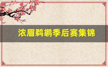 浓眉鹈鹕战绩-浓眉鹈鹕季后赛集锦
