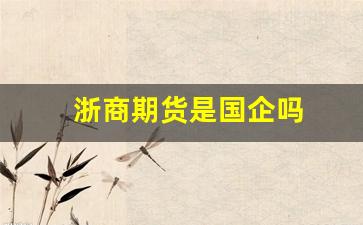 浙商期货是国企吗(浙商期货股份有限公司)_https://www.fzdzcxj.com_深交所_第1张