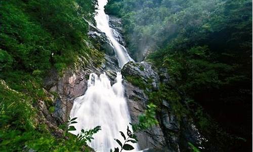 东天目山一日游,浙江东天目山旅游攻略