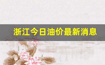 浙江今日油价最新消息价格查询最新消息-浙江省今日油价最新价格