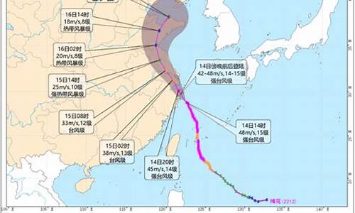 浙江台风路径实时_浙江台风路径实时图最新消息查询