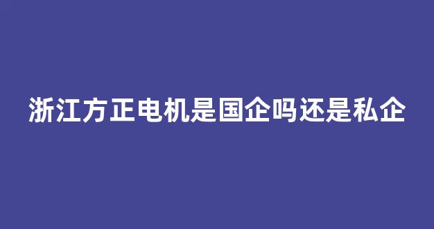 浙江方正电机是国企吗还是私企(浙江省方正电机有限公司)_https://www.wanyuyiyao.com_深交所_第1张