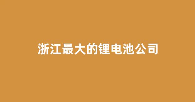浙江最大的锂电池公司(浙江最大的锂电池公司排名)_https://www.jnskb.com_设计报价_第1张