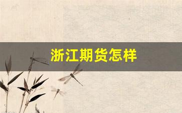 浙江期货怎样(浙江永安期货)_https://www.gfdzclz.com_深交所_第1张