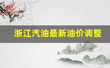 浙江汽油最新油价调整-浙江汽油价格92多少钱一升