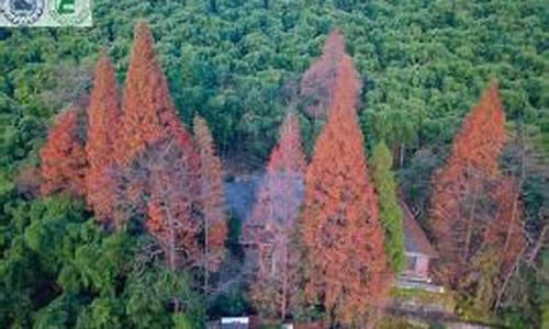 浙江莫干山天气预报_浙江莫干山天气预报查询