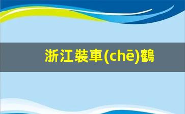 浙江裝車(chē)鶴管加工廠家(1)