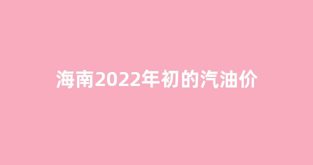 今天海南汽油价格多少钱一升_海南2022年初的汽油价