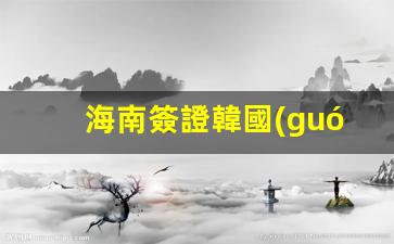 海南簽證韓國(guó)怎么簽證(海南辦理簽證的地方)