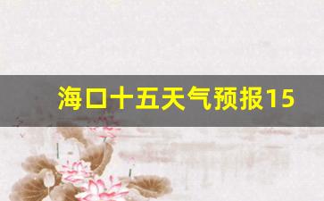 海口十五天气预报15天_海口市十五天天气预报海南省海口市
