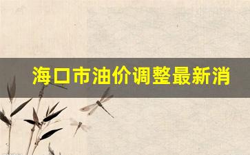 海口市油价调整最新消息-海口市油价调整最新消息查询