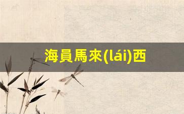 海員馬來(lái)西亞落地簽證怎么辦(已確認(rèn)一名中國(guó)籍船員和一名馬來(lái)西亞籍船員遇難)