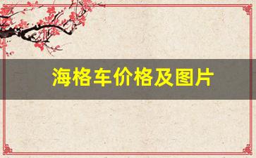 海格车价格及图片(海格牌汽车是什么品牌)_https://www.luoxuangg888.com_北交所_第1张