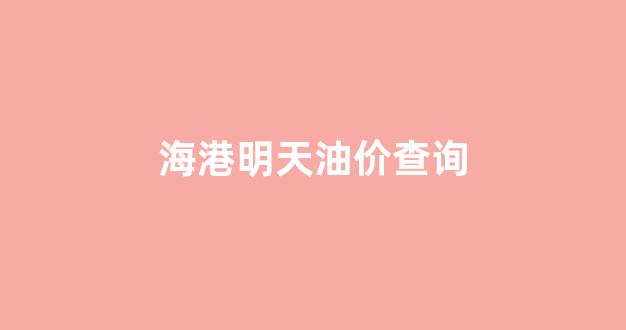 海港石油加油站 概况_海港明天油价查询