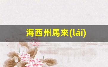 海西州馬來(lái)西亞簽證辦理機(jī)構(gòu)(馬來(lái)西亞簽證在哪里辦理)