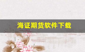 海证期货软件下载(海证期货怎么样)_https://www.xzdzcjn.com_科创板_第1张