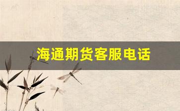 海通期货客服电话(海通期货投诉电话)_https://www.xzdzcjx.com_创业板_第1张