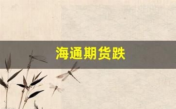 海通期货跌(海通期货手续费)_https://www.xzdzcjn.com_科创板_第1张