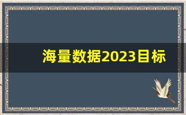 海量数据2023目标价(海量数据什么时候上市)_https://www.heiljjianzu.com_深交所_第1张