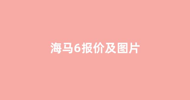 海马6报价及图片(海马6车价格及图片)_https://www.wanyuyiyao.com_深交所_第1张